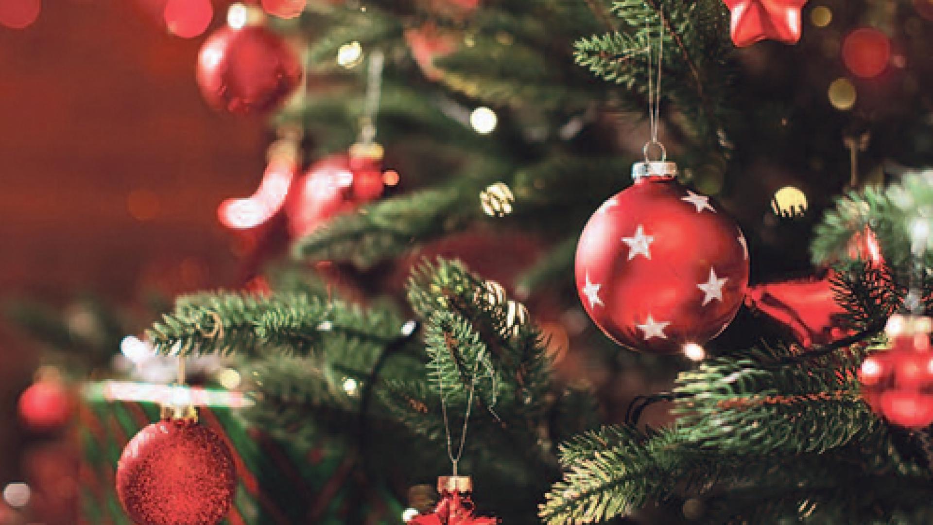 52_Weihnachts-Pro_Contra.jpg