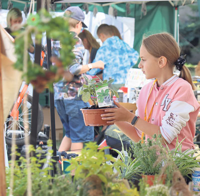 Arbeit in der Kinder-Gärtnerei