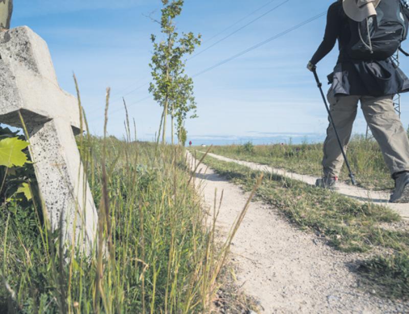 2019: Der Pastorale Weg beginnt