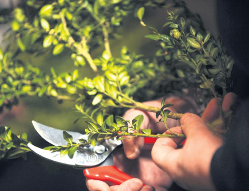 Womit schmücken wir bald unsere Kreuze?