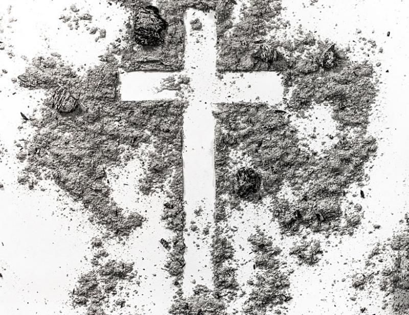 „Jede Frau kann Vorbild sein"