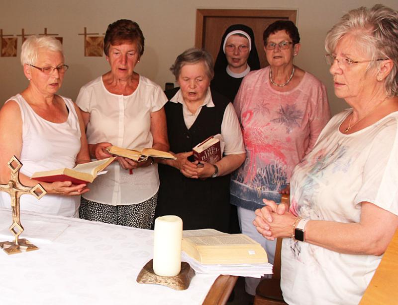 Die Bibel in sieben Schritten