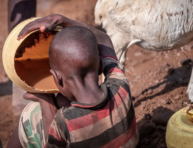 "Deutschland sollte noch mehr tun"