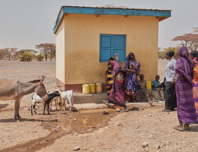 Hoffnung für Mensch und Tier