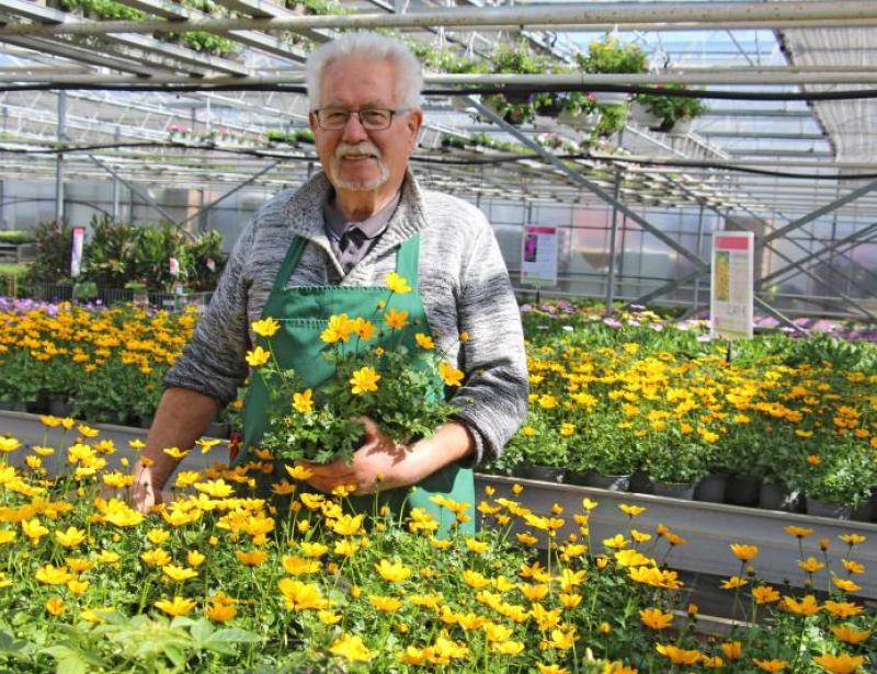 Pflanze nie vor der kalten Sophie