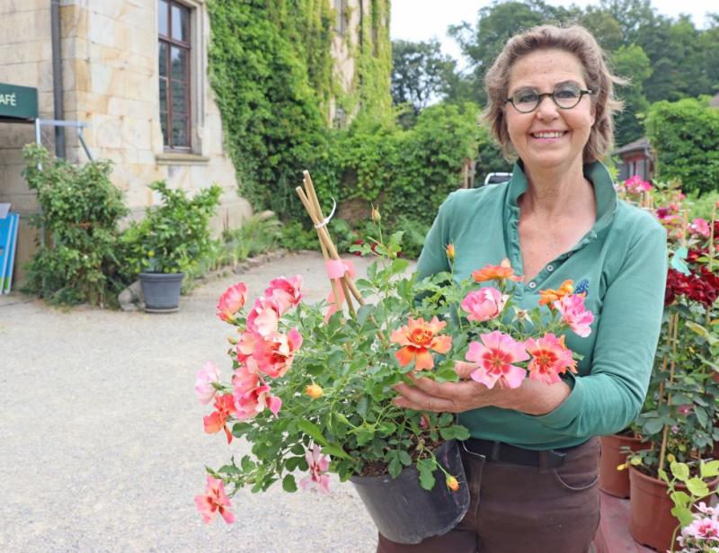 Farbenpracht im Schloss