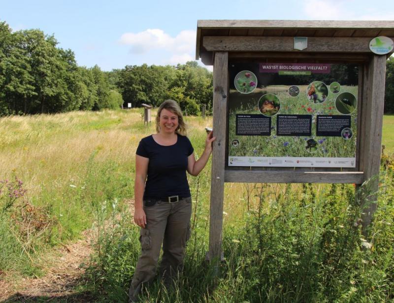 Durch Nichtstun viel erreichen
