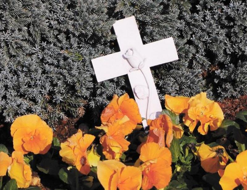 Auf die Kraftquellen besinnen