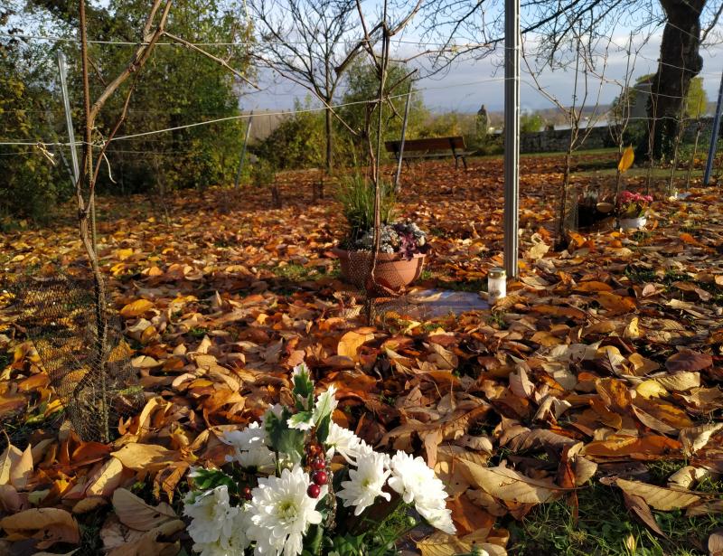 „Handeln aus dem Glauben“