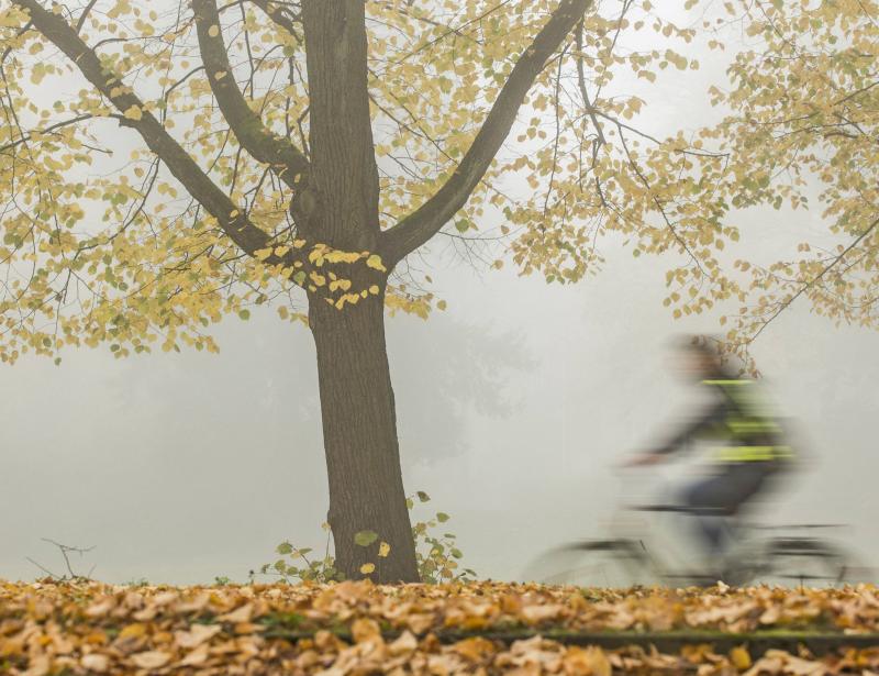 Eine Zeit der Stärkung