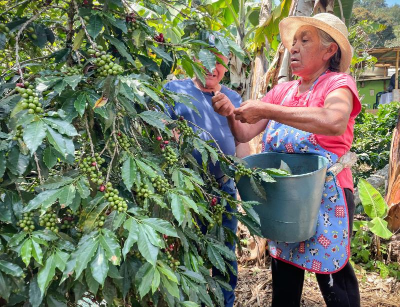 Hoffnung an steilen Hängen