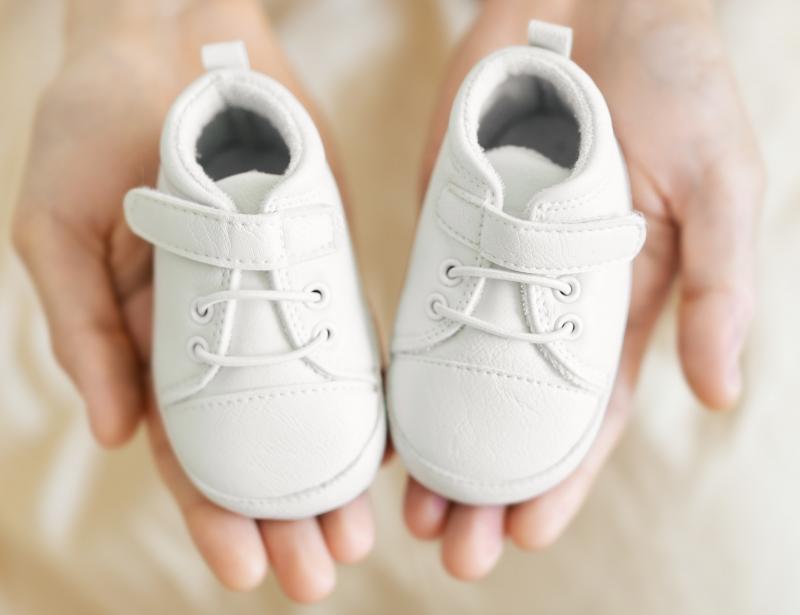 Debatten um das werdende  Leben