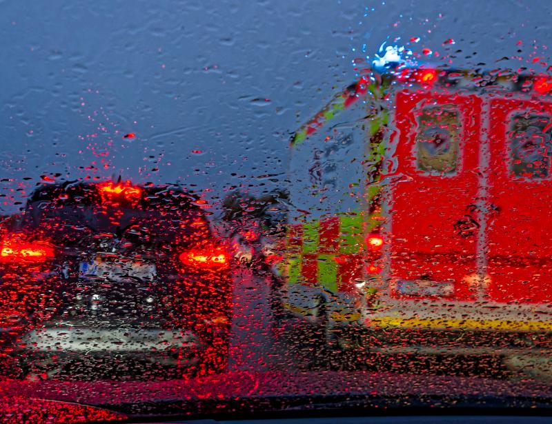 Lebendig, aber gezeichnet