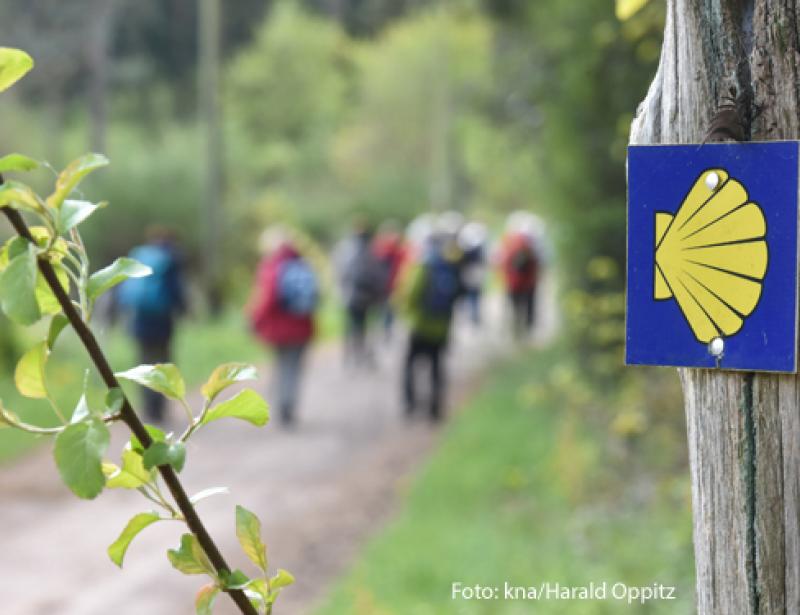 "Die nächste Saison ist auch gelaufen" 