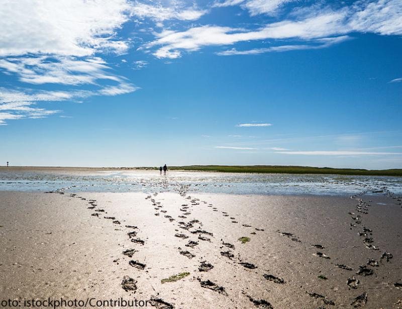 Theologische Floskeln helfen nicht weiter
