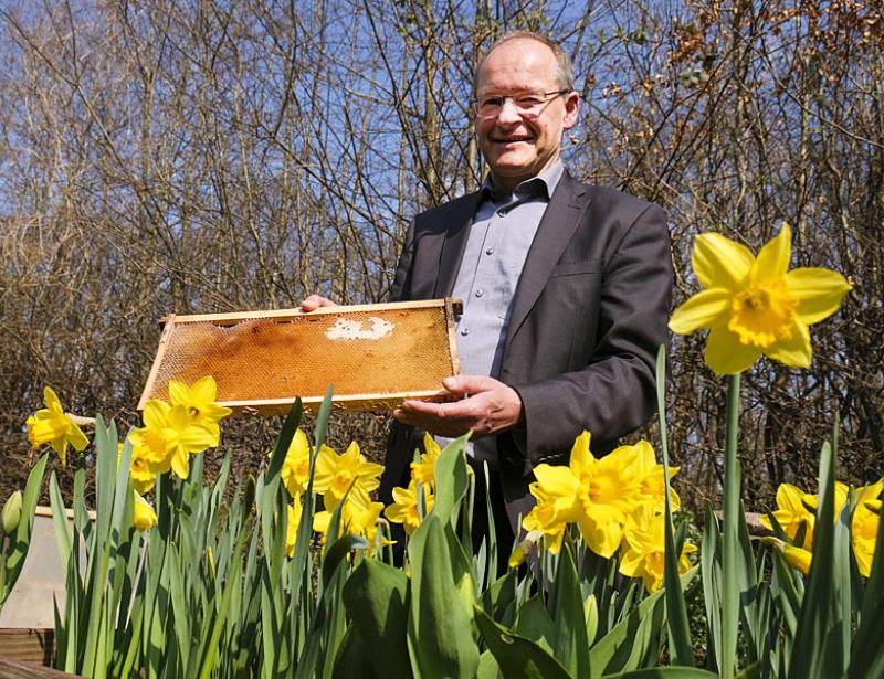 "Wir können uns vieles von der Natur abschauen"