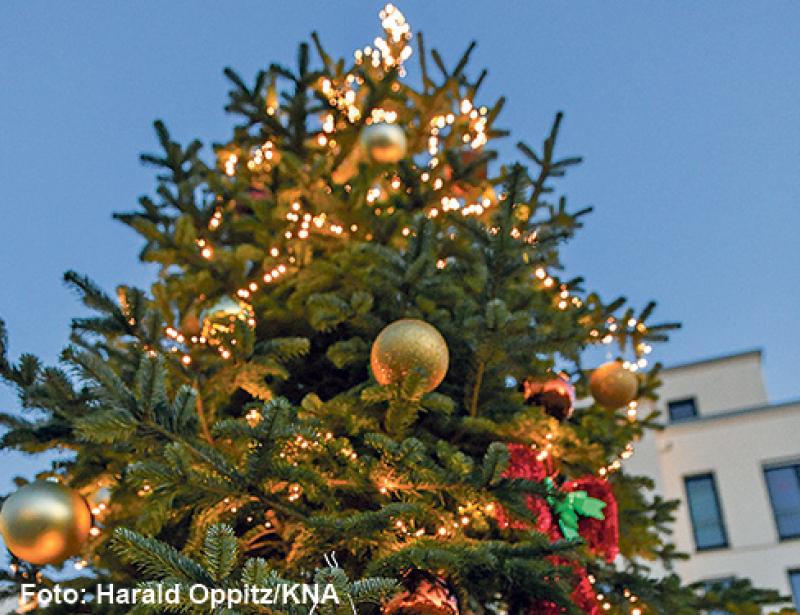 Vieles findet draußen statt