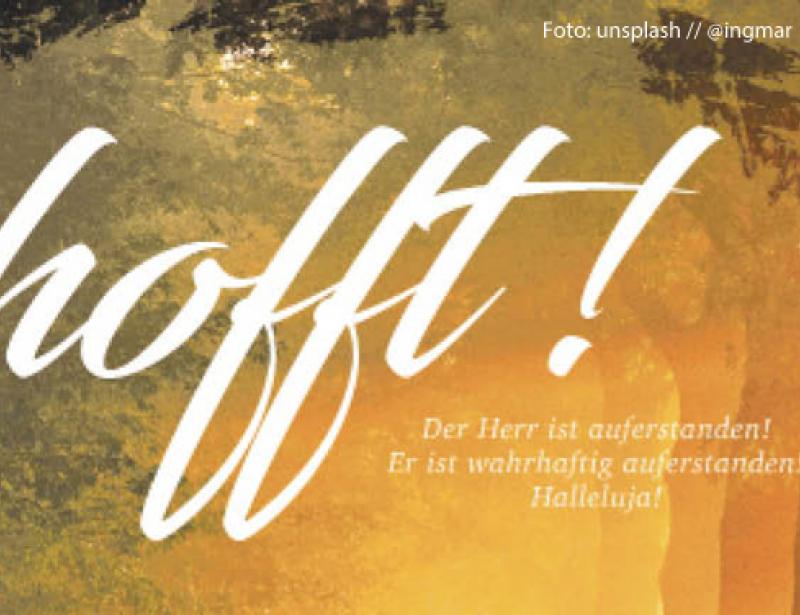 Die Hoffnung stirbt zuletzt 