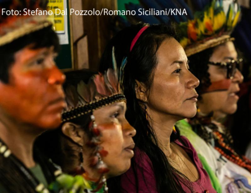 Gesetz zum Schutz indigener Völker 