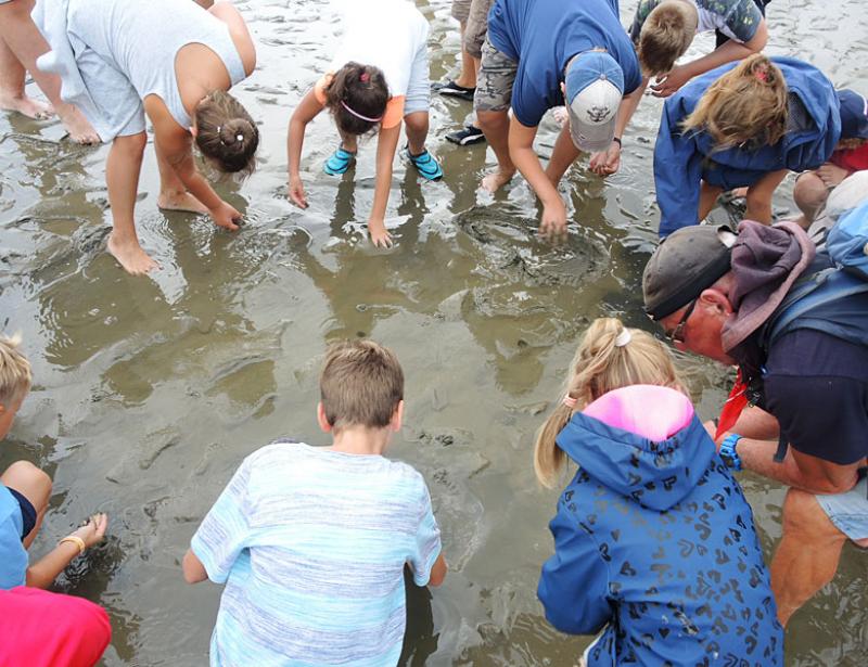 Gruppenstunde im Watt