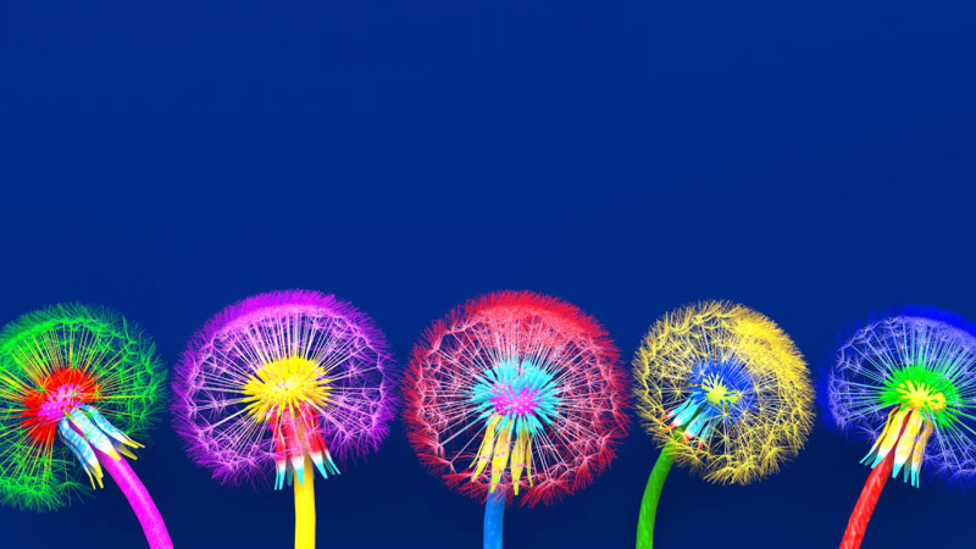 2021_schoepfung_iStock-1224.jpg