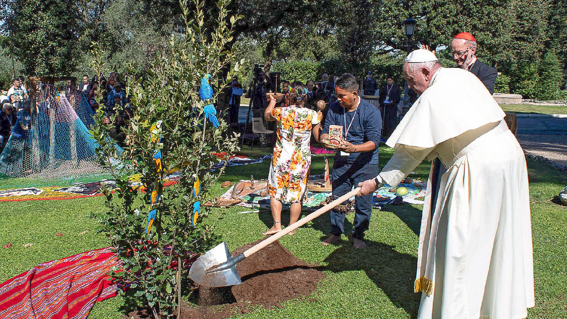 Papst Franziskus beim Baumpflanzen