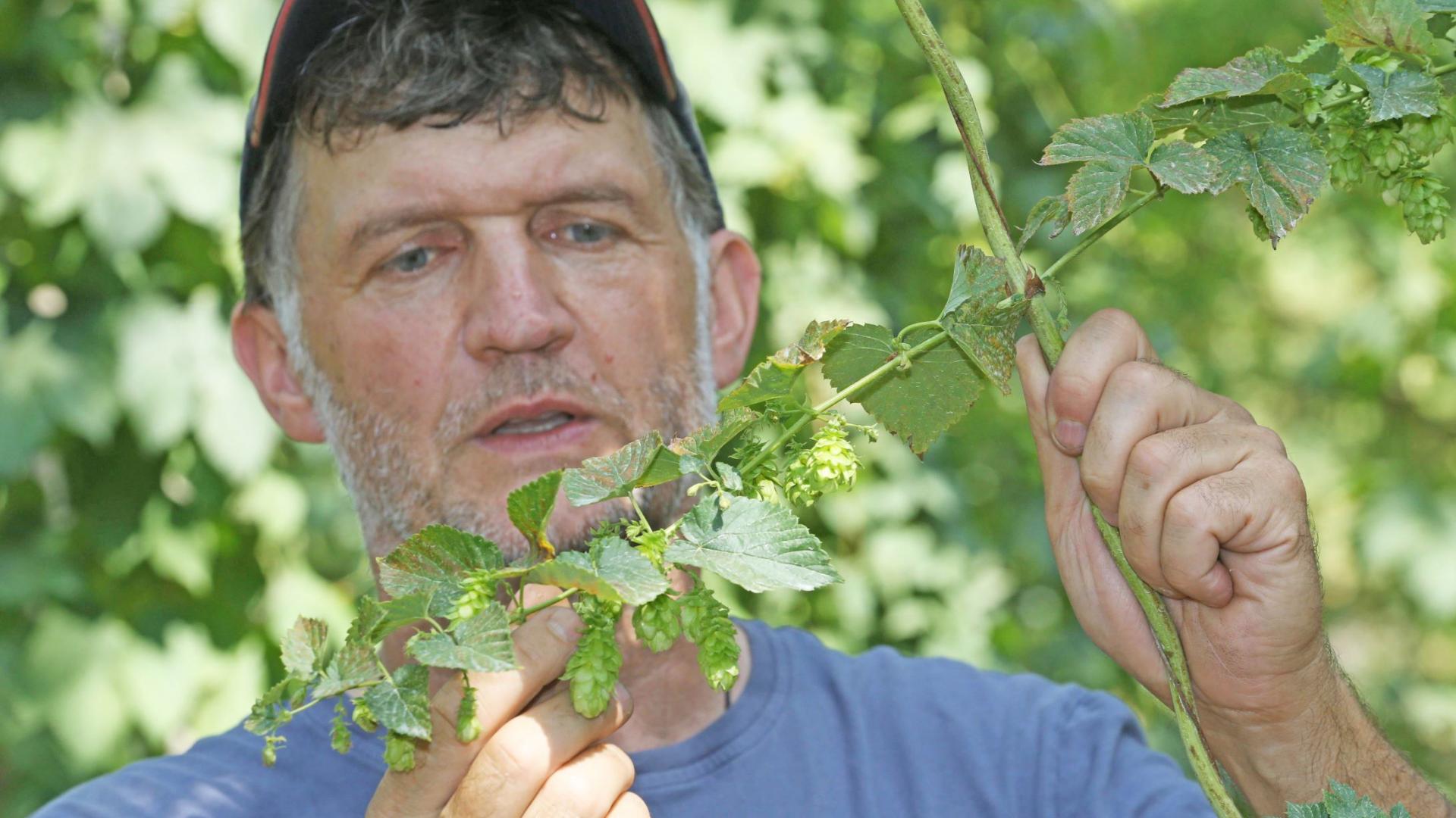 Hopfenbauer Georg Hirschberger