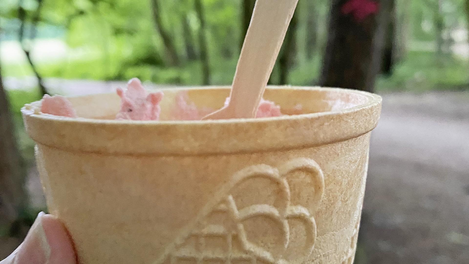 Eis im Waffelbecher