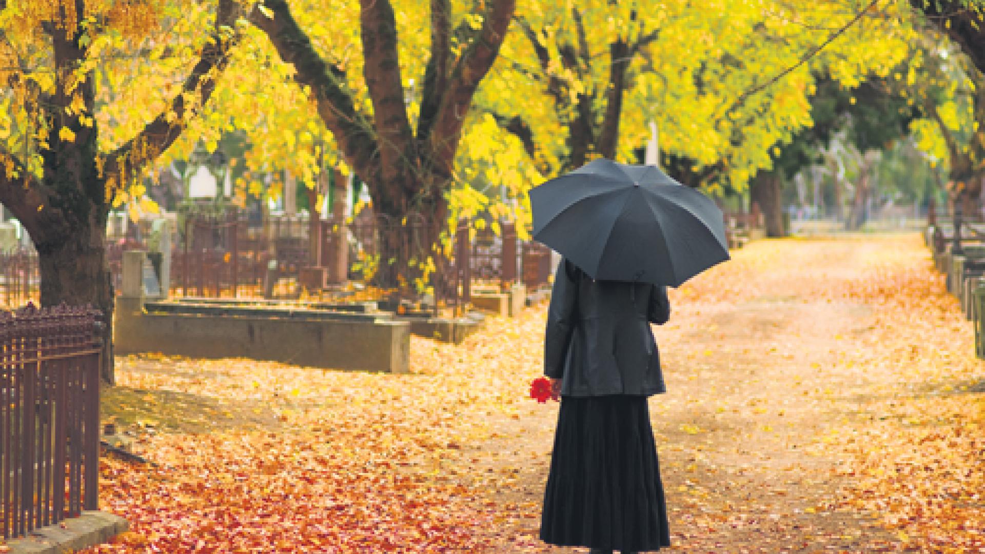 44_Friedhof_AdobeStock_3104312.jpg