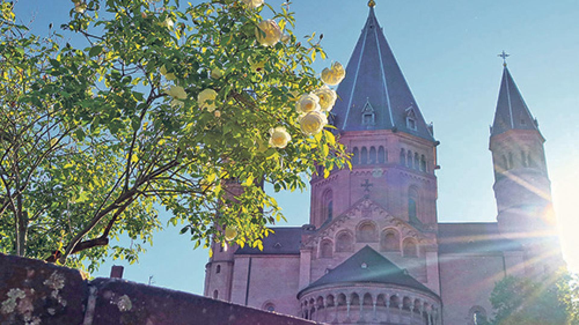 46_Dom-mit-Rosen.jpg