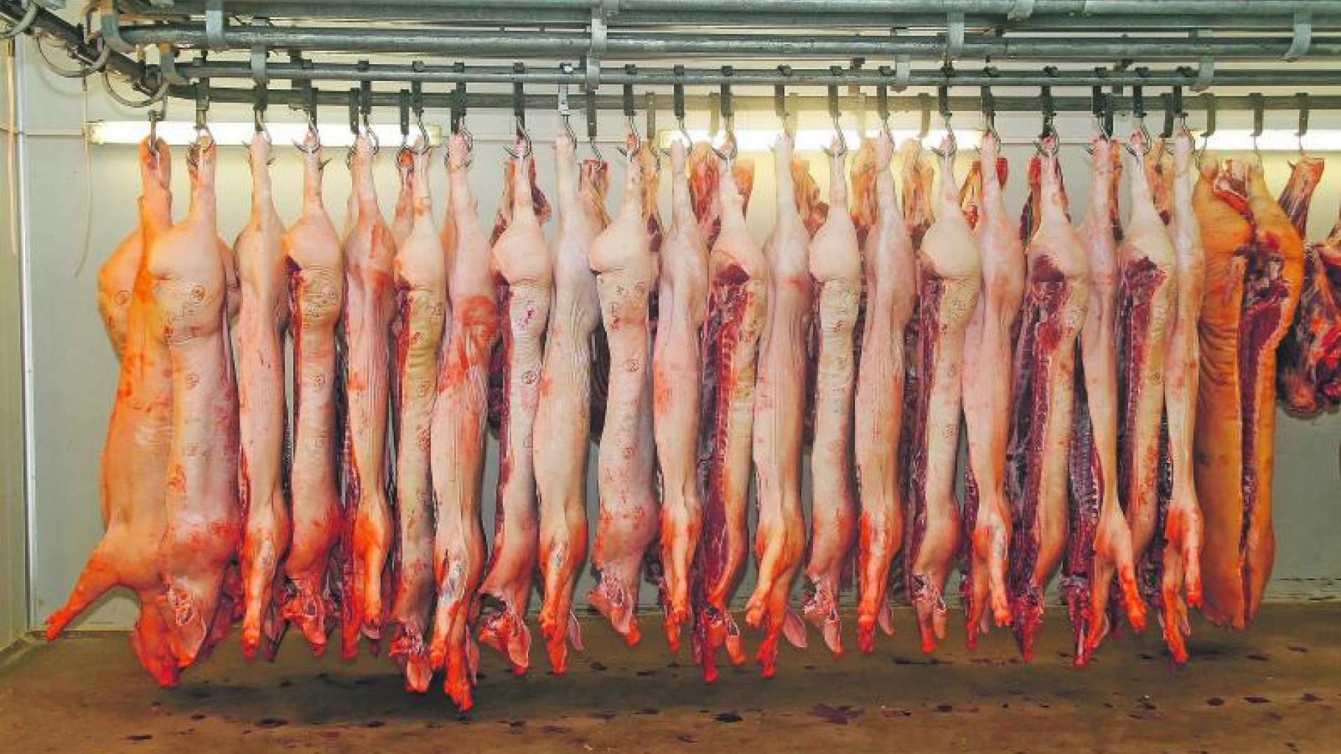 Schweineh%C3%A4lften.jpg